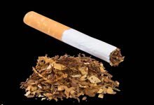 Tobacco use rises in Assam, Tripura, and Manipur says report