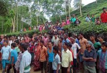 Assam- Tea garden owner fires on tea workers, 8 injured