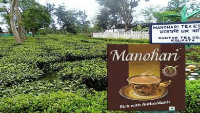 Assam: Manohari gold Tea breaks  all records of tea industry