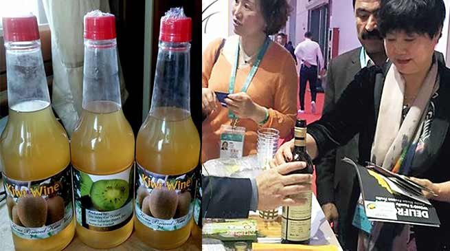 Arunachal's Kiwi Wine attracts Chinese visitors in Shanghai Expo