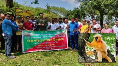 Assam: Bongaigaon Admin in crusade to save golden langurs
