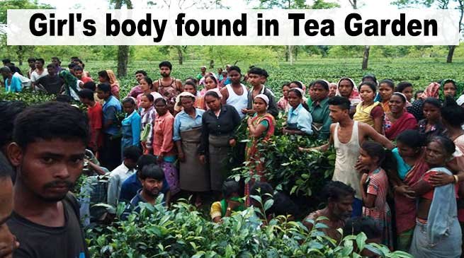 Assam: Young Girl's body found in Barbaruah Tea Estate