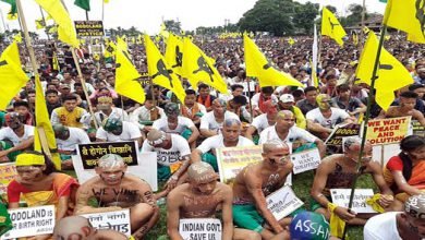 Assam: Like J&K, solve Bodoland issue- BMO urges govt