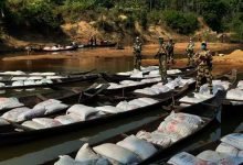 Meghalaya: BSF seized 58 wooden boats with 45,000 kgs of Dry pea