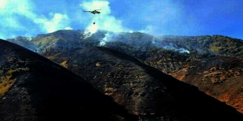Nagaland: Operation continue to control Dzukou Valley wildfire
