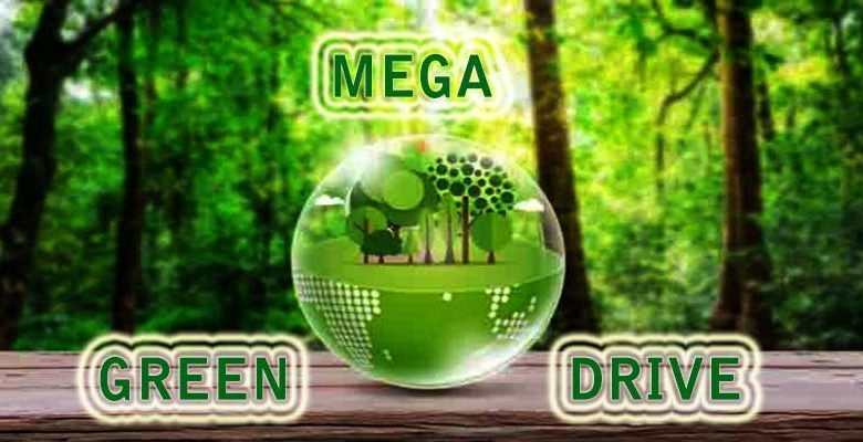 Assam: Mega green drive to be launched in Guwahati
