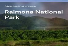 Raimona Assam's new national park with rich flora and fauna 