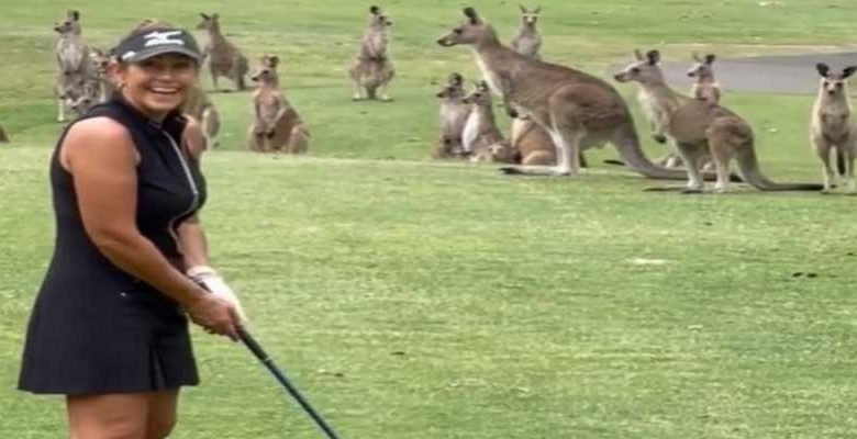 Viral video: A mob of kangaroos interrupt golfer Wendy Powick as she prepares to tee off