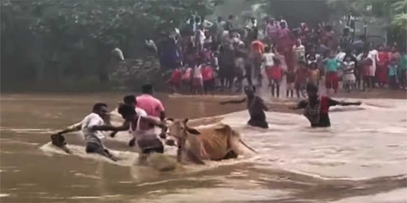 Assam: 3 dead, nearly 25,000 affected due to flash floods, landslides