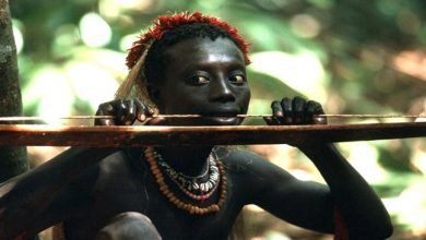 India's Jarwa Tribe Which kills Their Own Child