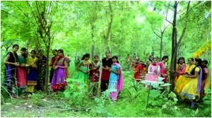 Village "Piplantri" Where 111 Trees are Planted on the Birth of Girl Child