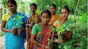 Village "Piplantri" Where 111 Trees are Planted on the Birth of Girl Child