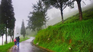 Heavy Rains, Meghalaya, Arunachal, Assam