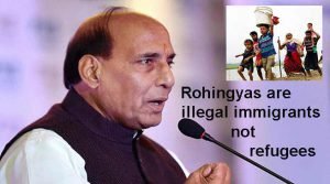 Rohingyas are illegal immigrants not refugees- Rajnath singh