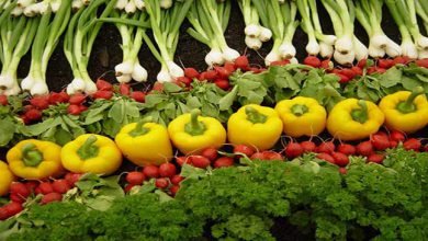 Sikkim Produces 80,000 mt Organic Vegetables in 2016-17
