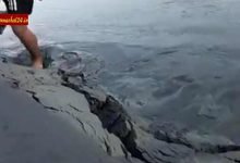 Centre to send experts for inspection of Siang and Brahamputra water