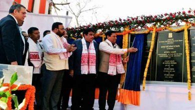 Assam: Gadkari, Sonowal lays foundation of Majuli anti-erosion projects