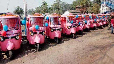 Assam: Pink auto rickshaws driven by women for women