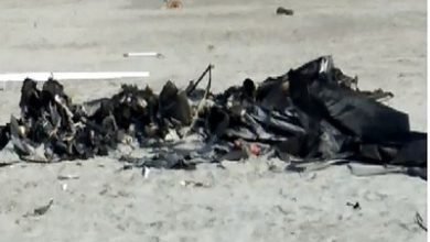 Assam: IAF microlight aircraft Crashes, 2 Pilot Killed