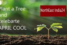 Enlighten Media appeals, Plant a Tree and make April Cool instead of April Fool