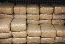Assam: DRI seizes 763 Kg ganja worth of Rs 38 lakh