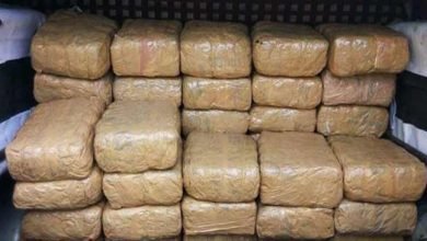 Assam: DRI seizes 763 Kg ganja worth of Rs 38 lakh