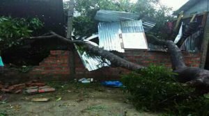 Assam: Cyclonic storm lashes Hailakandi town and suburbs