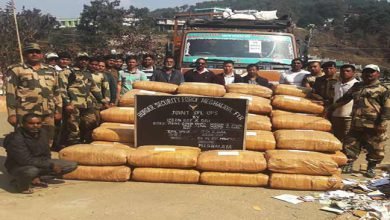 Meghalaya: BSF Seizes Ganja Laden Truck  