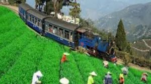 Assam:  Special Measures to promote Heritage Hill Railways
