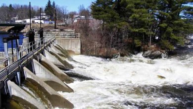 Arunachal : protest against Kameng power project suspended