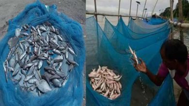 Assam: Fishing nets banned across Hailakandi district from April
