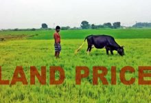 Assam: District-level committee approves revision of land prices