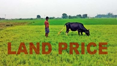Assam: District-level committee approves revision of land prices