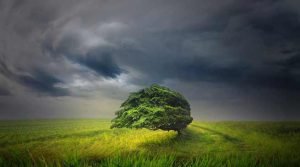 IMD predicts Severe thunderstorm, Rainfall over northeast India this week