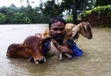 Assam: Flood death toll rises to four  