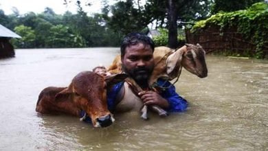 Assam: Flood death toll rises to four  
