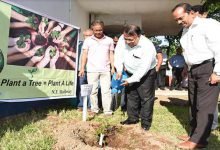Assam:  5.33 lakh saplings planted by NF Railway in 2017-18