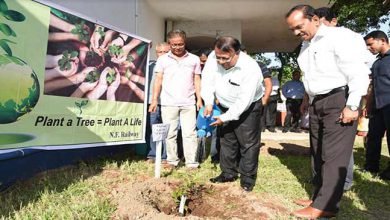Assam:  5.33 lakh saplings planted by NF Railway in 2017-18