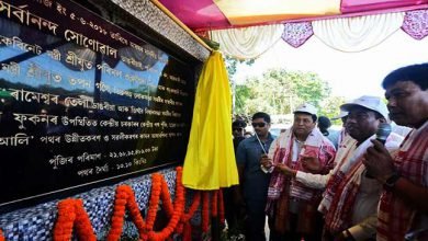 Assam: Sonowal Lays foundation stone of Tingrai-Doomdooma road