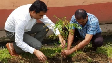 Assam: Hailakandi observes World Environment Day in befitting manner