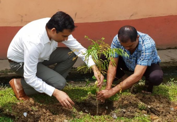 Assam: Hailakandi observes World Environment Day in befitting manner