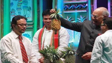 President Kovind declares Queen Pineapple as state fruit of Tripura