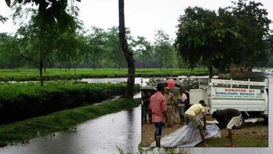 Assam: Tea garden watchman dead after flash flood hit Bokakhat