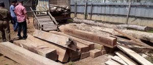 Assam:  four illegal Bandsaw mills dismantled in Hailakandi