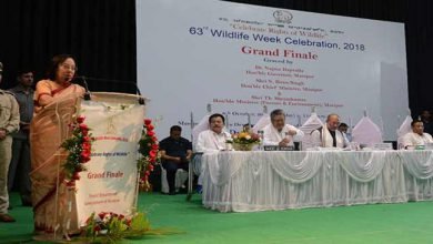 Manipur: stop killings of wild animals- Najma Heptulla