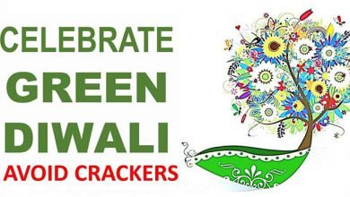 Assam: Celebrate eco-friendly, pollution free Diwali- Hailakandi Admin