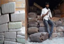 Assam:  BSF Seizes Cannabis worth of Rs 27.22 lakhs