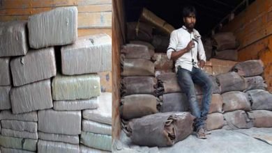 Assam:  BSF Seizes Cannabis worth of Rs 27.22 lakhs