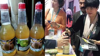 Arunachal's Kiwi Wine attracts Chinese visitors in Shanghai Expo