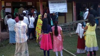 Assam Panchayat Election: 78 percent vote recorded in Hailakandi, figure may go up